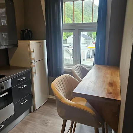 Rjukan Leilighet 50M2 Apartament *